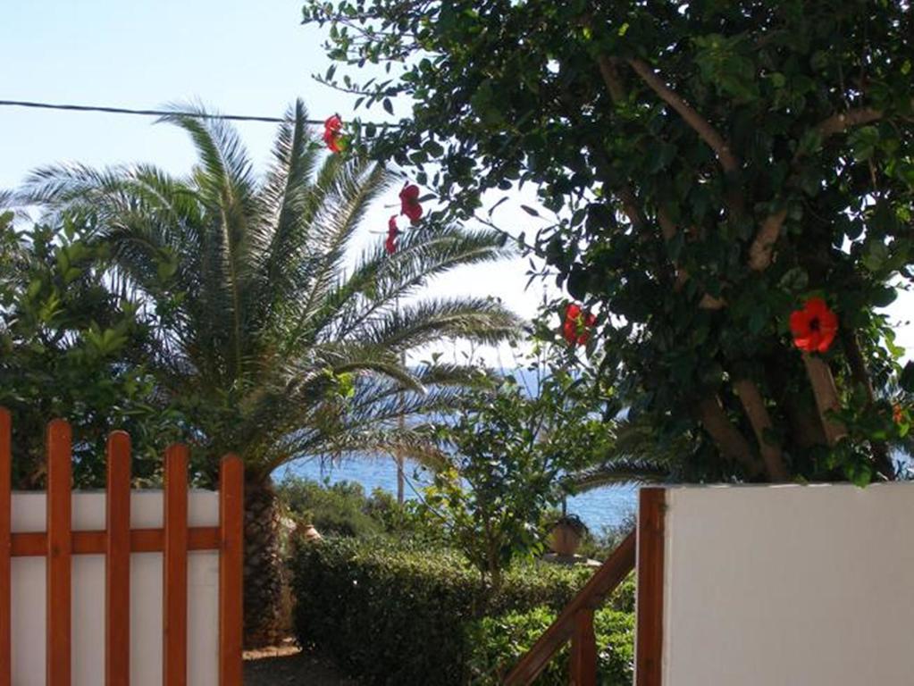 Zorbas Rooms Frangokastello 部屋 写真